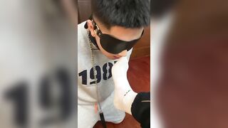 好听话的运动服体育小狗上