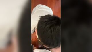 好听话的运动服体育小狗上